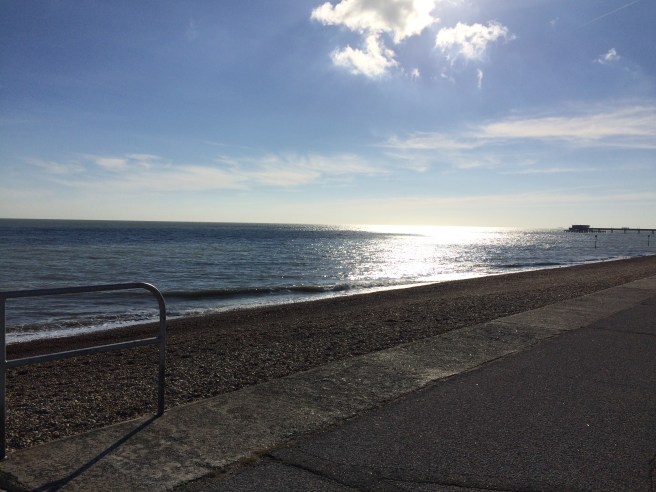 Sunny Deal1